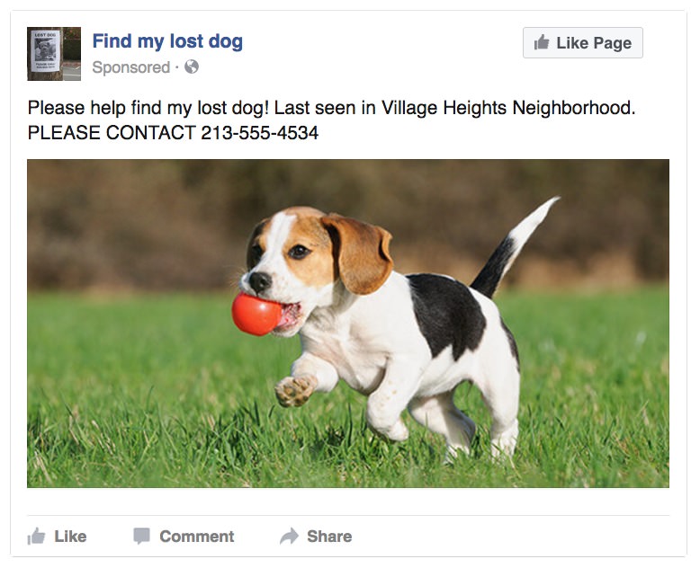 How to Save a Dog's Life Using Facebook Ads